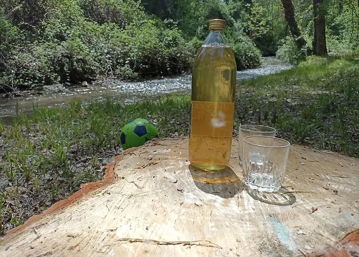 Holiday home Maison De Campagne Allemagne-en-Provence